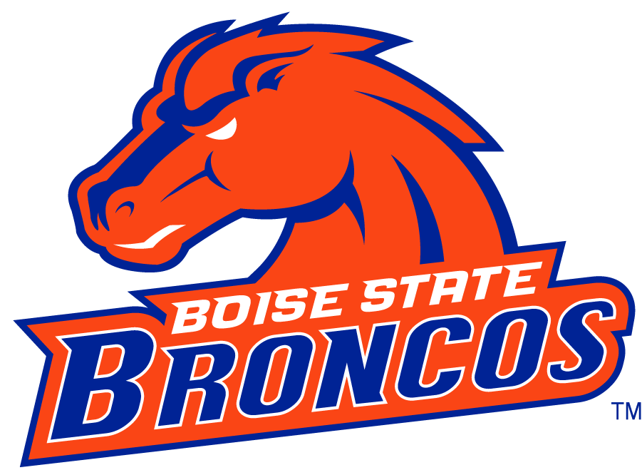 Boise State Broncos 2002-2012 Secondary Logo v8 diy DTF decal sticker